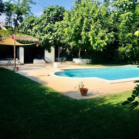 Studio Independant Terrasse Piscine Avignon Exteriér fotografie